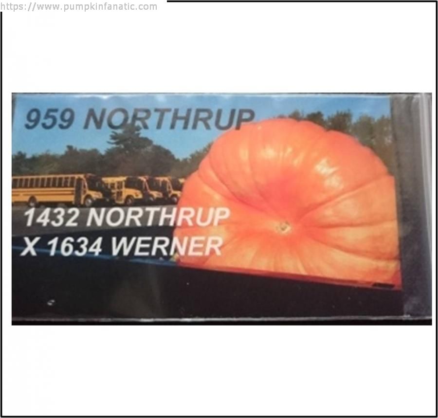 959 Northrup 2013
